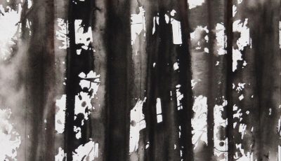 Raphaëlle Pia, Encre de chine et sépia sur papier, 76 x 57 cm - boite 83,5 x 64 cm, 2011