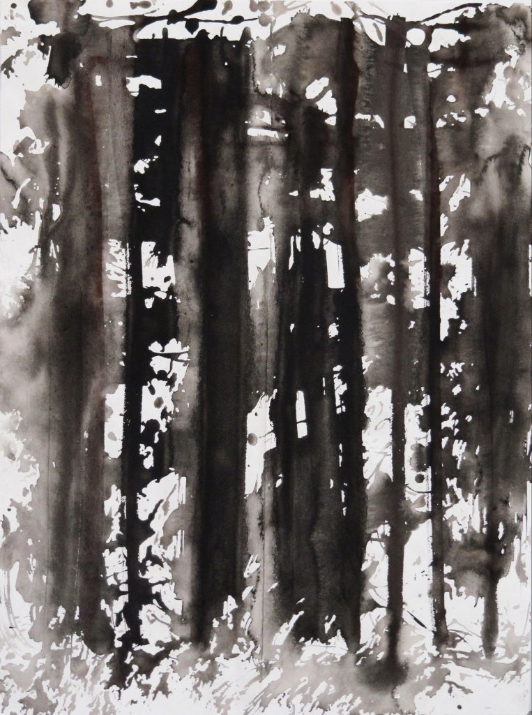 Raphaëlle Pia, Encre de chine et sépia sur papier, 76 x 57 cm - boite 83,5 x 64 cm, 2011