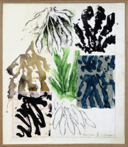 "Viornes et Lichens - Dessin IV", 2014.
Technique mixte sur papier marouflé/carton, 73 x 63,5 cm.