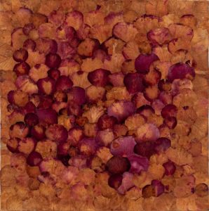 Marinette Cueco, Rose rouillée, 2022, Herbier, 45 x 45 cm ©David Cueco