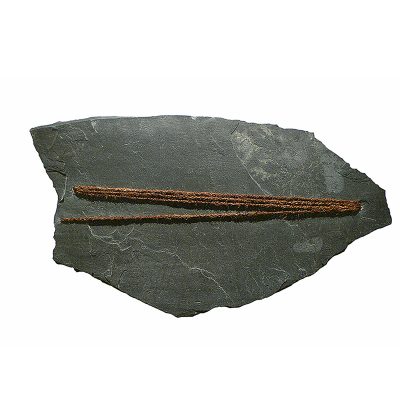 Marinette CUECO, "Ecritures", Zéa mays tressé, ardoise d’Allasac, 40 x 72 cm, 2006.