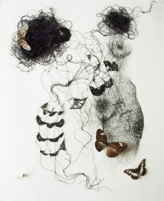 Emmanuelle MASON, " Dentelle #2 " 2018. Encre, fil de soie crocheté, papillons naturalisés 40 cm x 50 cm.
