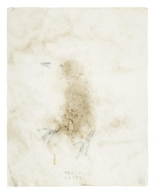 Les oiseaux. Technique mixte sur papier japon, 40 x 30 cm, 2018.