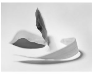 Argentique sur papier baryté, 2017. 70 x 90 cm.e sur papier baryté, 2017. 70 x 90 cm.