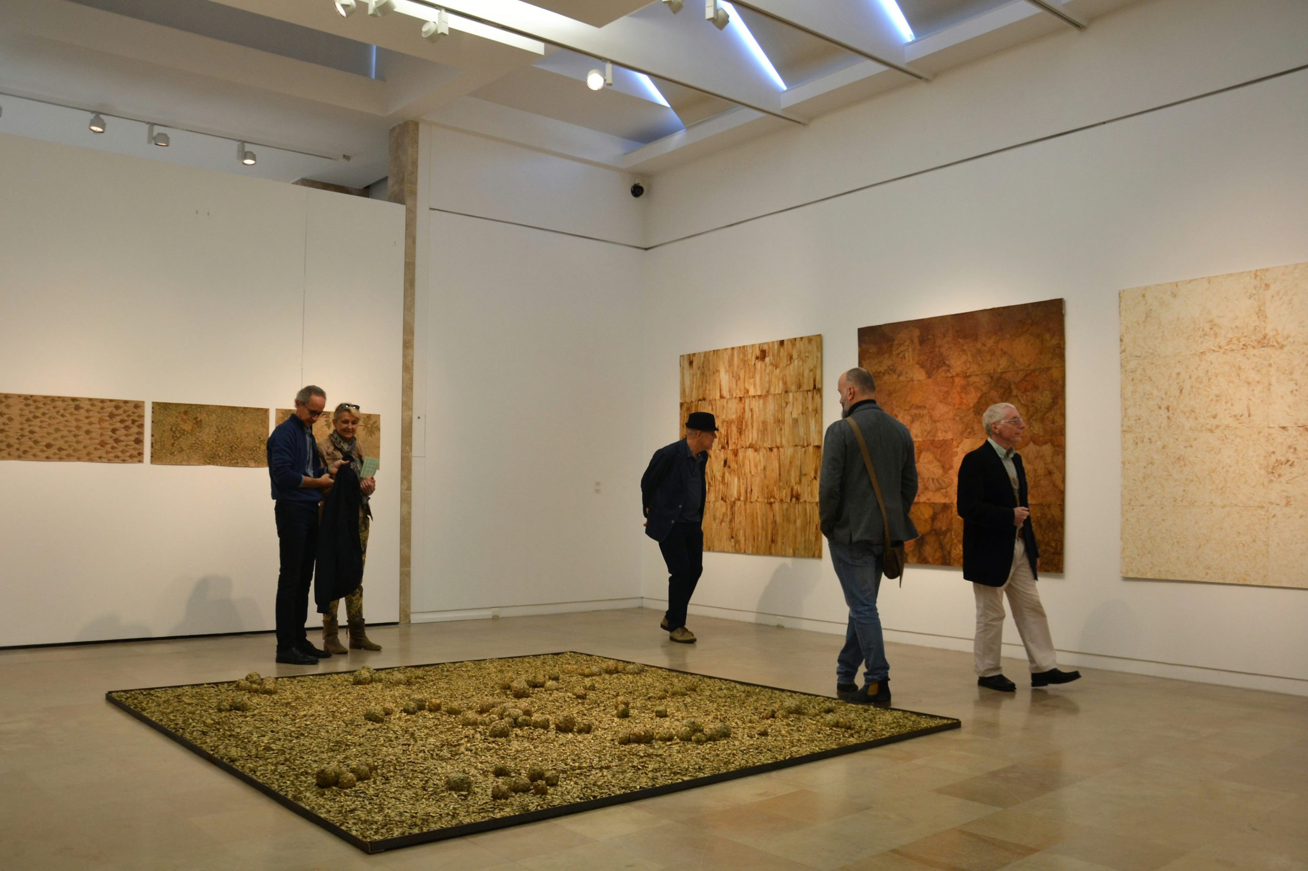 expo_cueco_issoudun_nouvellerepublique_©Photo_NR_Alice _Rouger