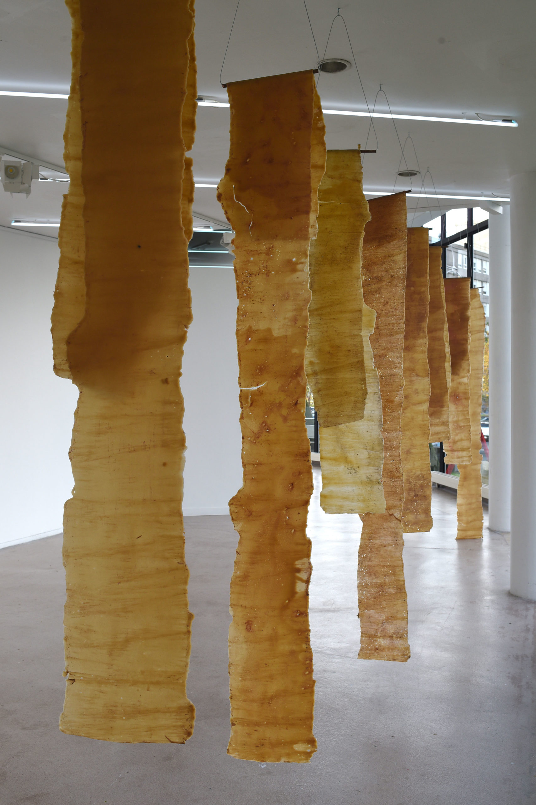 POUR UN INTERSTICE PAYSAGER. Exposition d'Emma Bourgin et Léonard Nguyen Van Thé. Comédie de Caen / Théâtre d'Hérouville. © Tristan Jeanne-Valès