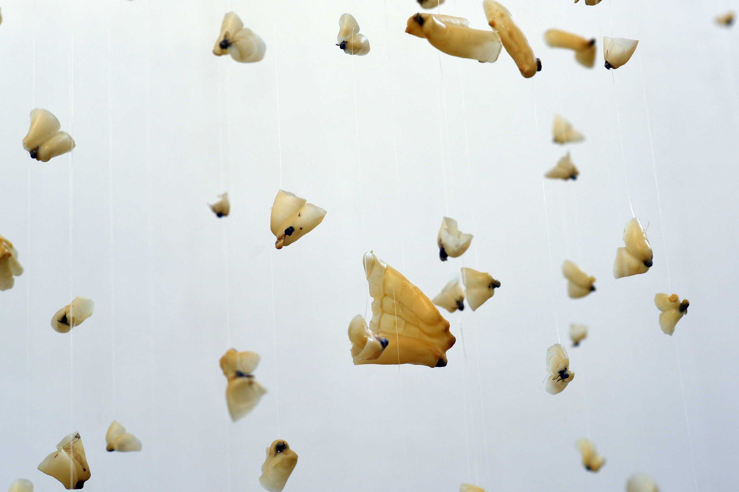 POUR UN INTERSTICE PAYSAGER. Exposition d'Emma Bourgin et Léonard Nguyen Van Thé. Comédie de Caen / Théâtre d'Hérouville. © Tristan Jeanne-Valès