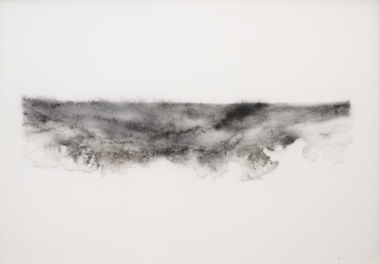 Anne LAVAL, Paysage épidermique 2, 50 x 70 x 4 cm, 2025