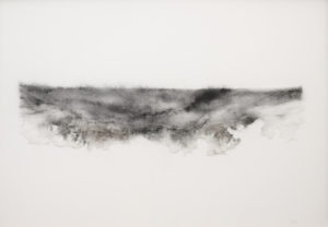 Paysage épidermique 2, 2025, Voile de semis, laine d’alpaga, empreinte