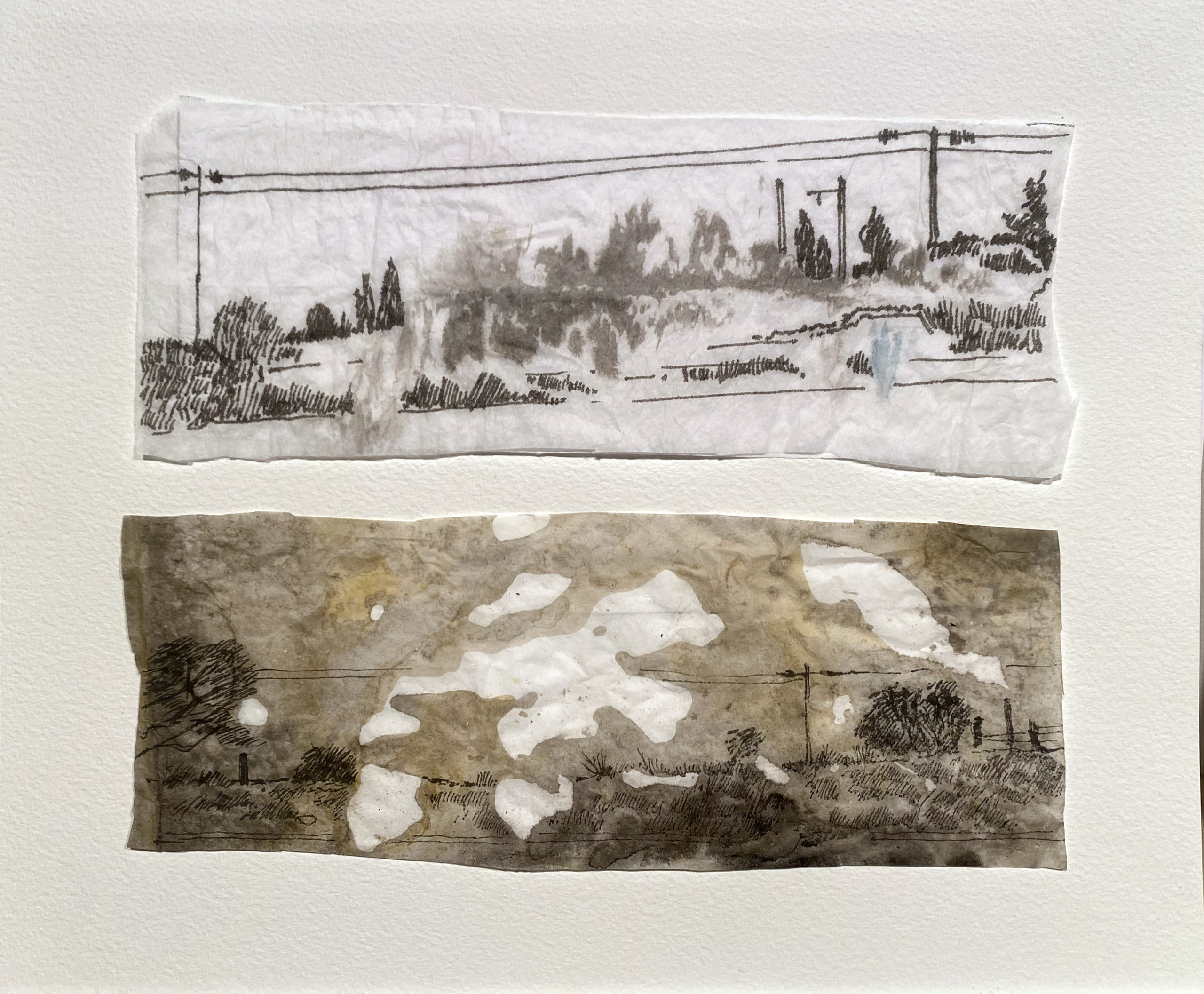 Feuilles de route, 2024, Lavis d’encre et poussière d’ocre du Luberon sur papier de soie